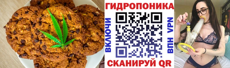 ссылка на мегу как зайти  Пушкино  Cannafood конопля  что такое  
