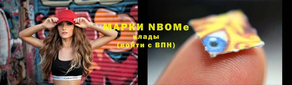молекула духа Арсеньев