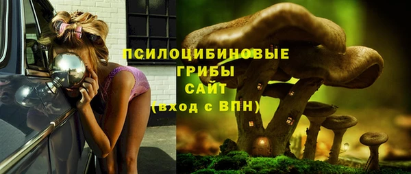 молекула духа Арсеньев