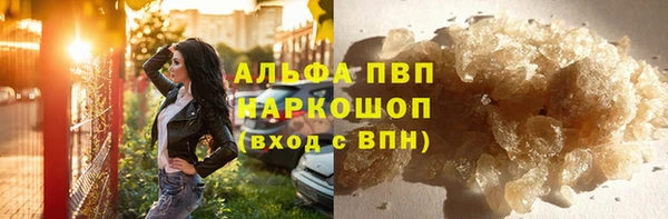 молекула духа Арсеньев