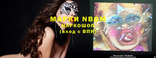 молекула духа Арсеньев