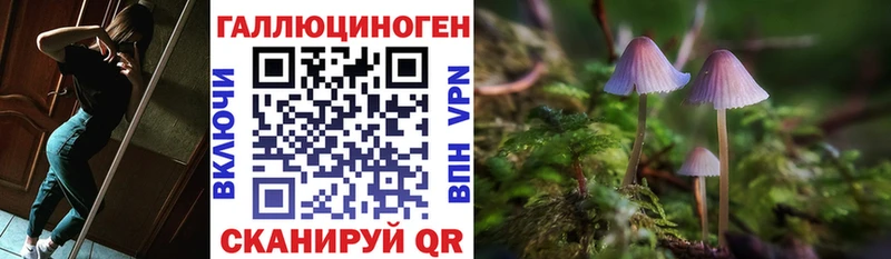 Галлюциногенные грибы Magic Shrooms  купить наркотики цена  Пушкино 